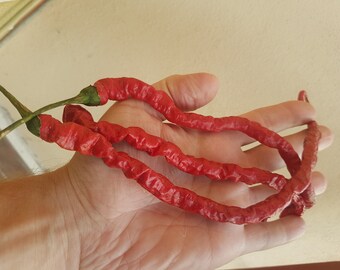 Semillas de chile Thunder Mountain Longhorn