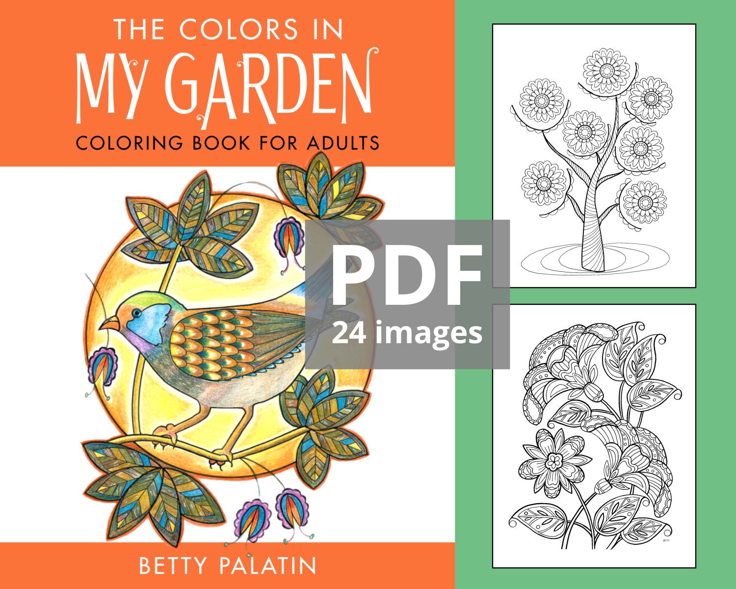 Download The Colors In My Garden Downloadable Pdf Coloring Book 24 Etsy