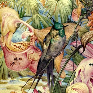 May include: A vibrant painting depicting a hummingbird with green and blue feathers perched on a branch surrounded by pink, yellow, and orange orchids. The hummingbird has long, black tail feathers and a long, thin beak. The orchids are in full bloom and have intricate details. The painting is set against a background of lush green foliage.