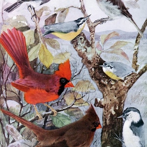 Bird Wooden Jigsaw Puzzles for Adults - Field Birds, 50 Pieces by NautilusPuzzles® - Mini Jigsaw Puzzle, Nature Puzzle,Unique Gift For Mom