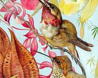 Summer Style Wooden Puzzles For Adults 122 Pieces by Nautilus Puzzles® - Jigsaw Puzzle, Birds & Orchids Puzzle, Whimsy Puzzles,Unusual Shape