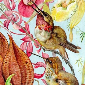 May include: Two hummingbirds with brown and white feathers are perched on a branch with pink and yellow flowers. The background is a light blue.