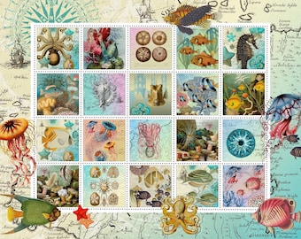 NautilusPuzzles - Etsy