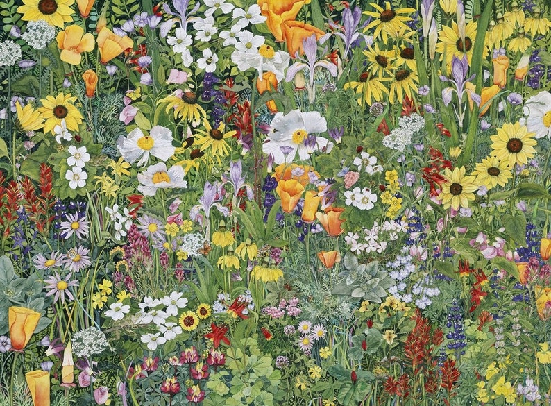 May include: A vibrant watercolor painting of a wildflower meadow. The artwork features a dense collection of various flowers in shades of yellow, white, orange, purple, and red, set against a backdrop of green foliage. The composition is rich in detail and color.