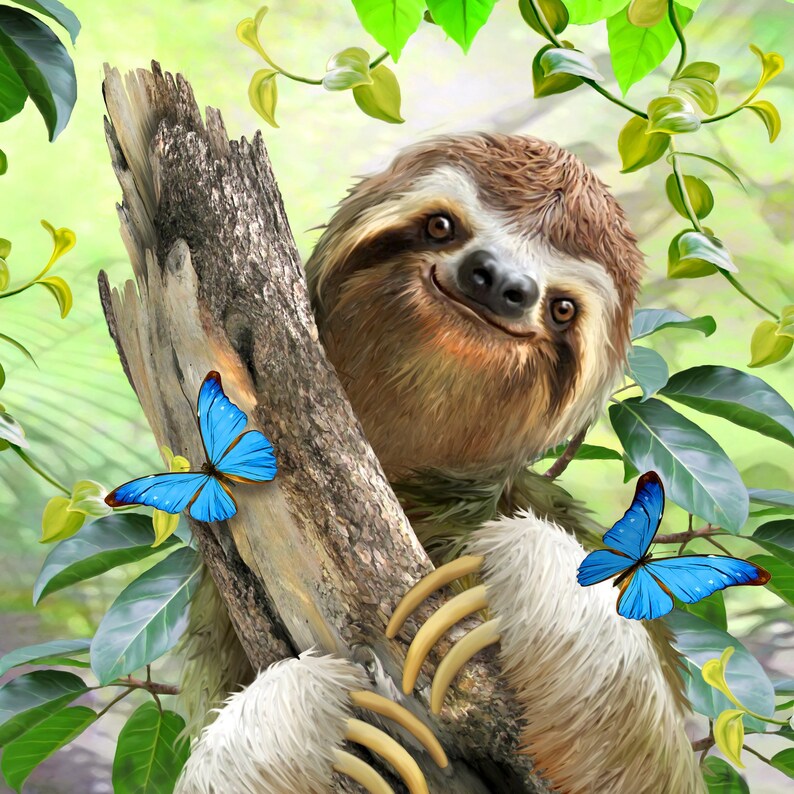 May include: A smiling sloth clinging to a weathered tree trunk, surrounded by lush green foliage. Two vibrant blue butterflies with intricate wing patterns are perched near the sloth. The image has a whimsical, nature-inspired theme.