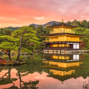 Wooden Jigsaw Puzzles for Adults - Temple of the Golden Pavilion, Kyoto (150 Piece Wooden Jigsaw Puzzle) Made in the USA by Nautilus Puzzles