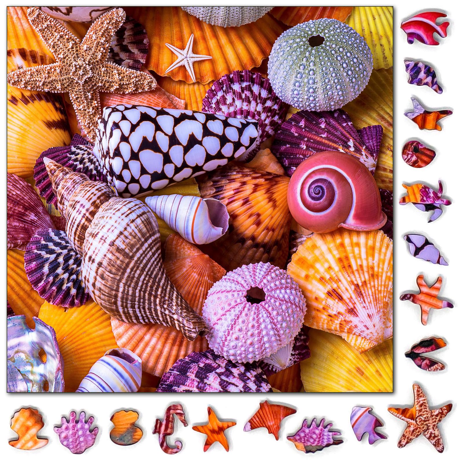 オラソワ バンドル 缶バッジ 朱砂 Jigsaw Puzzle With Whimsical Shaped Pieces - Challenging Seashells