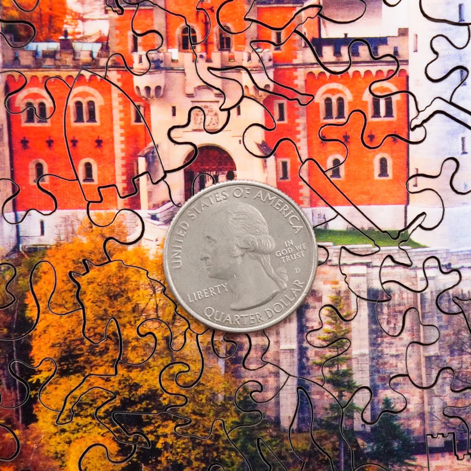 Wooden Jigsaw Puzzles for Adults Neuschwanstein in Autumn 224 Etsy