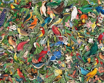 Wooden Jigsaw Puzzles For Adults - Symphony of Feathers (504 Piece Wooden Jigsaw Puzzle) Made in the USA by Nautilus Puzzles® - Bird Lovers