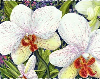 Orchid Wooden Jigsaw Puzzles For Adults 199 Pieces by Nautilus Puzzles® - Flower Whimsy Puzzle, Phalaenopsis Puzzle With Irregular Shapes