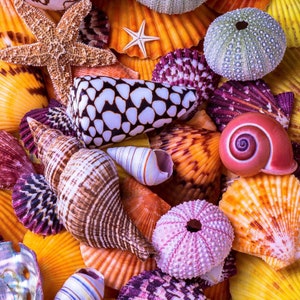Ocean Treasures Wooden Jigsaw Puzzles For Adults 145 Pieces by NautilusPuzzles® - Summer Style Puzzle, Toys And Games Adults, Whimsy Pieces