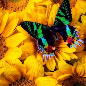 Butterfly Puzzles, Sunflower Puzzles For Adults, Unique Shape Wooden Jigsaw Puzzle, Mentor Gift, Back to School Gitf,Mini Puzzle - 78 Pieces