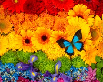 Wooden Jigsaw Puzzles for Adults - Rainbow Flowers 462 Pieces, Made in the USA by Nautilus Puzzles® Spring Style, Whimsy, Romantic Gifts