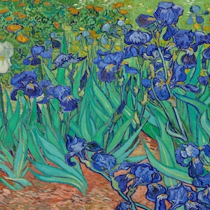 Van Gogh Wooden Jigsaw Puzzles For Adults 50 Pieces by NautilusPuzzles®- Irises Puzzle, Mini Jigsaw Puzzle, Whimsy Puzzle, Abstract Puzzle