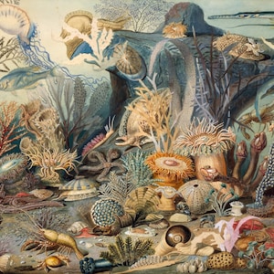 Wooden Jigsaw Puzzles For Adults - Ocean Life By James M. Sommerville (475 Piece Wooden Jigsaw Puzzle) Made in the USA by Nautilus Puzzles