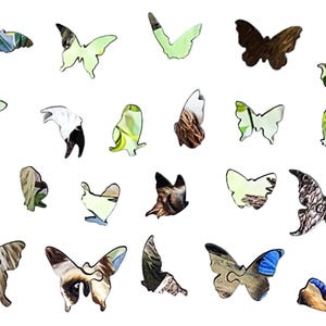 May include: A collection of wooden butterfly puzzle pieces in various colors and patterns. The pieces are in shades of brown, green, white, and blue, with intricate details. The puzzle pieces are scattered on a white background.