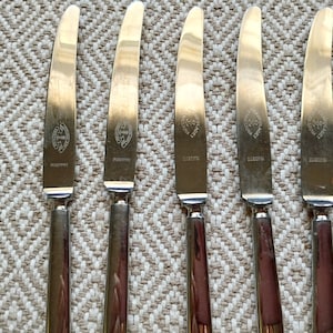 Five stainless fruit knives. Swedish vintage 1970s.
