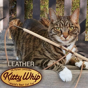 The KittyWhip Plus Leather® wand cat toy displayed in front of a beautiful tabby cat in a rustic outdoor setting.