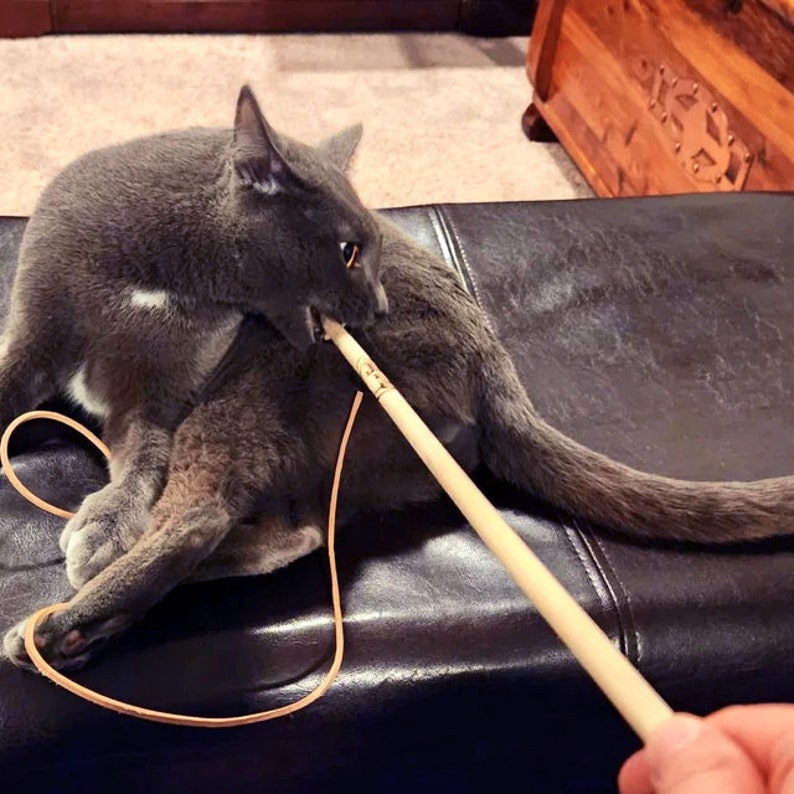 A Gray cat chewing on the wooden handle of the KittyWhip Leather® wand cat toy.