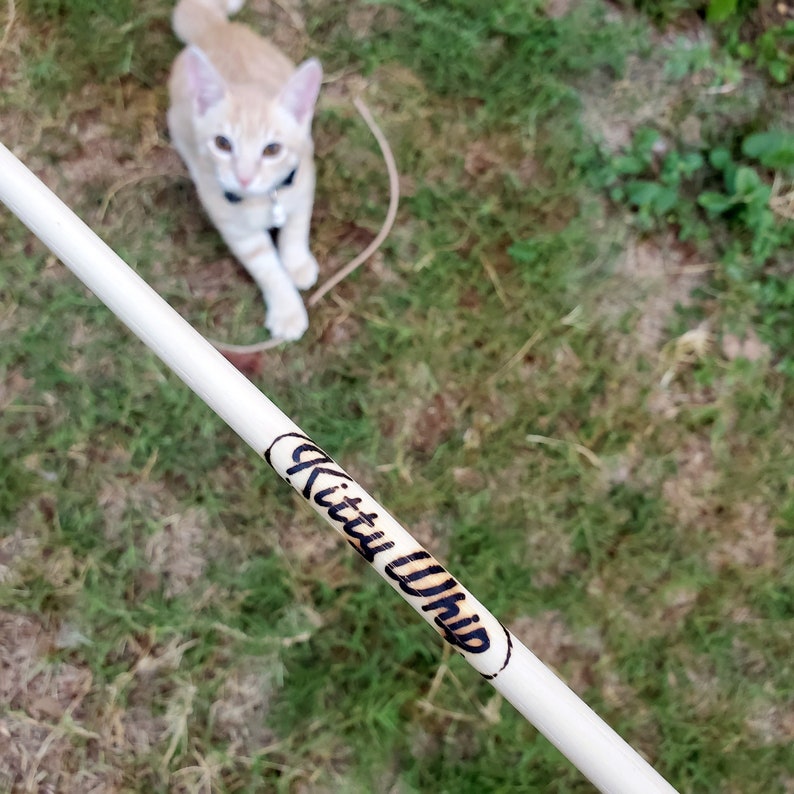 A Tan and White cat looking up at the KittyWhip Leather® wand cat toy in the foreground.