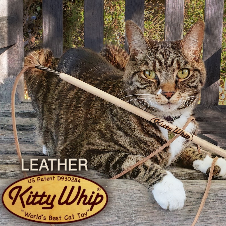 The KittyWhip Plus Leather® wand cat toy displayed in front of a beautiful tabby cat in a rustic outdoor setting.