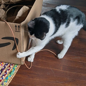 A Black and White cat playing with the KittyWhip Leather® wand cat toy.