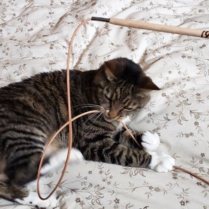 A Gray and Black tabby cat playing with the KittyWhip Leather® wand cat toy on a bedspread.