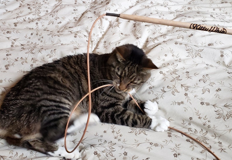 A Gray and Black tabby cat playing with the KittyWhip Leather® wand cat toy on a bedspread.