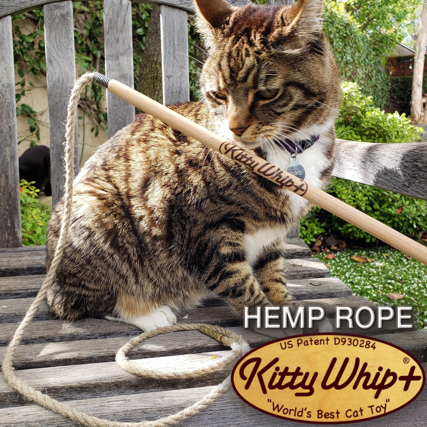 Kitty Whip Cat Toy - Etsy