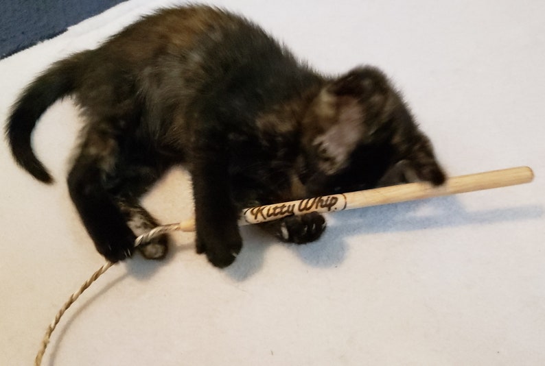 KittyWhip Jr\u00ae for itty bitty kitties!