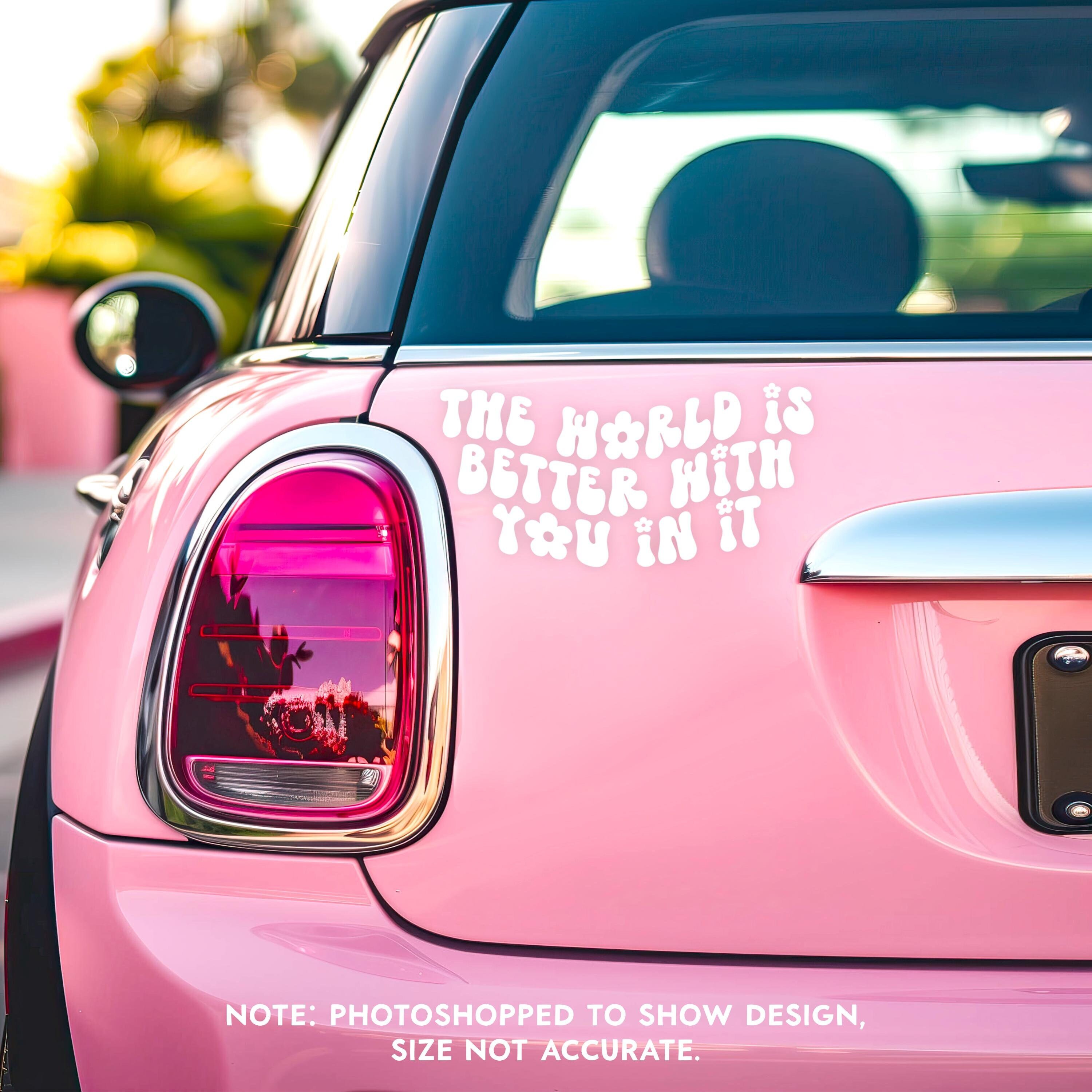 The World Is Better With You In It Decal / Mental Health Sticker / Bumper Sticker / Cute Decals / Cute Car Accessories / Waterproof Decal