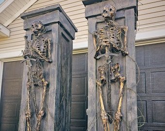 May include: Two grey stone pillars each containing a skeletal figure holding a sword. The skeletons are covered in vines and have a gold finish.