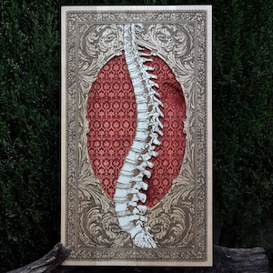 Muurkunst wervelkolom - met de hand gesneden en geschilderd anatomisch decor - uniek medisch cadeau