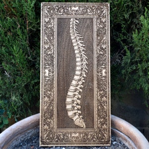 Gegraveerde menselijke wervelkolom houtkunst - anatomisch decor, medisch cadeau voor chiropractoren, artsen en anatomieliefhebbers