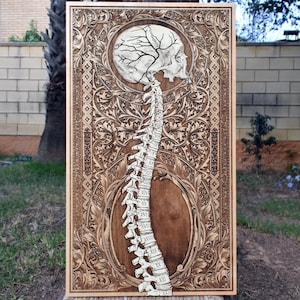 Teschio e spina dorsale, arredamento gotico macabro, regali gotici inquietanti per lui, arte anatomica, regalo di laurea per studenti di medicina