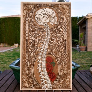 Anatomische houtkunst menselijke wervelkolom en schedel – op maat gegraveerd medisch decor, bedankje voor artsen en tatoeëerders, wanddecoratie kast