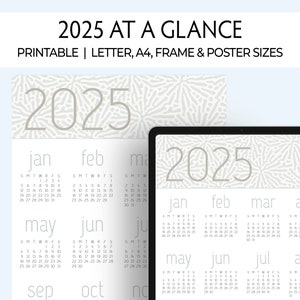 Calendario 2025, resumen del año, para planificador, pared, tablón de anuncios, enmarcado, plastificado. Inserto para planificador anual, consulte la Guía de tamaños para ver las opciones