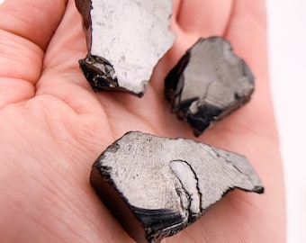 Raw Noble Elite Shungite