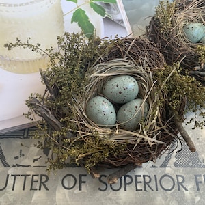 Birds Nest with Eggs, Farmhouse & French decor, Spring, Summer and Easter decor, Mother's Day gift, Cloche, Wreath and Centerpiece decor.