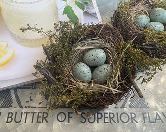 Birds Nest with Eggs, Farmhouse & French decor, Spring, Summer and Easter decor, Mother's Day gift, Cloche, Wreath and Centerpiece decor.