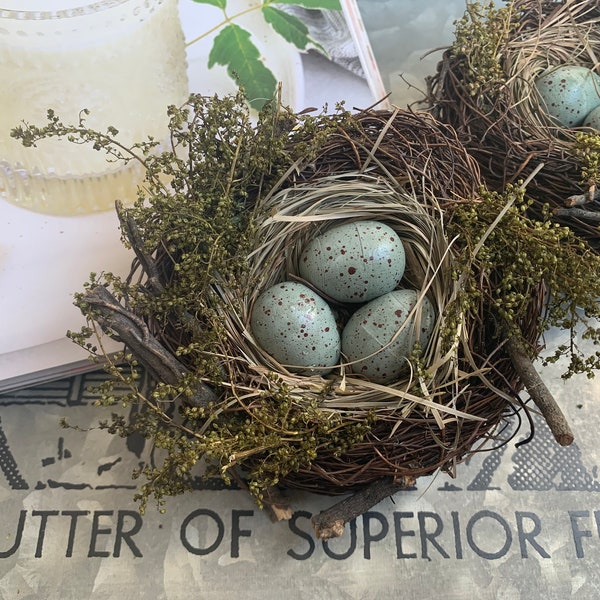 Birds Nest with Eggs, Farmhouse & French decor, Spring, Summer and Easter decor, Mother's Day gift, Cloche, Wreath and Centerpiece decor.