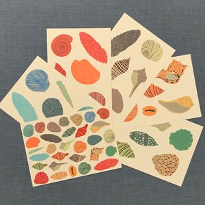 Seashells Art Greeting Card Set of 6 - A6 Greeting Card Set - Seashells Coastal Cards - Illustrated Art - Note Cards - Art Cards - Seashells