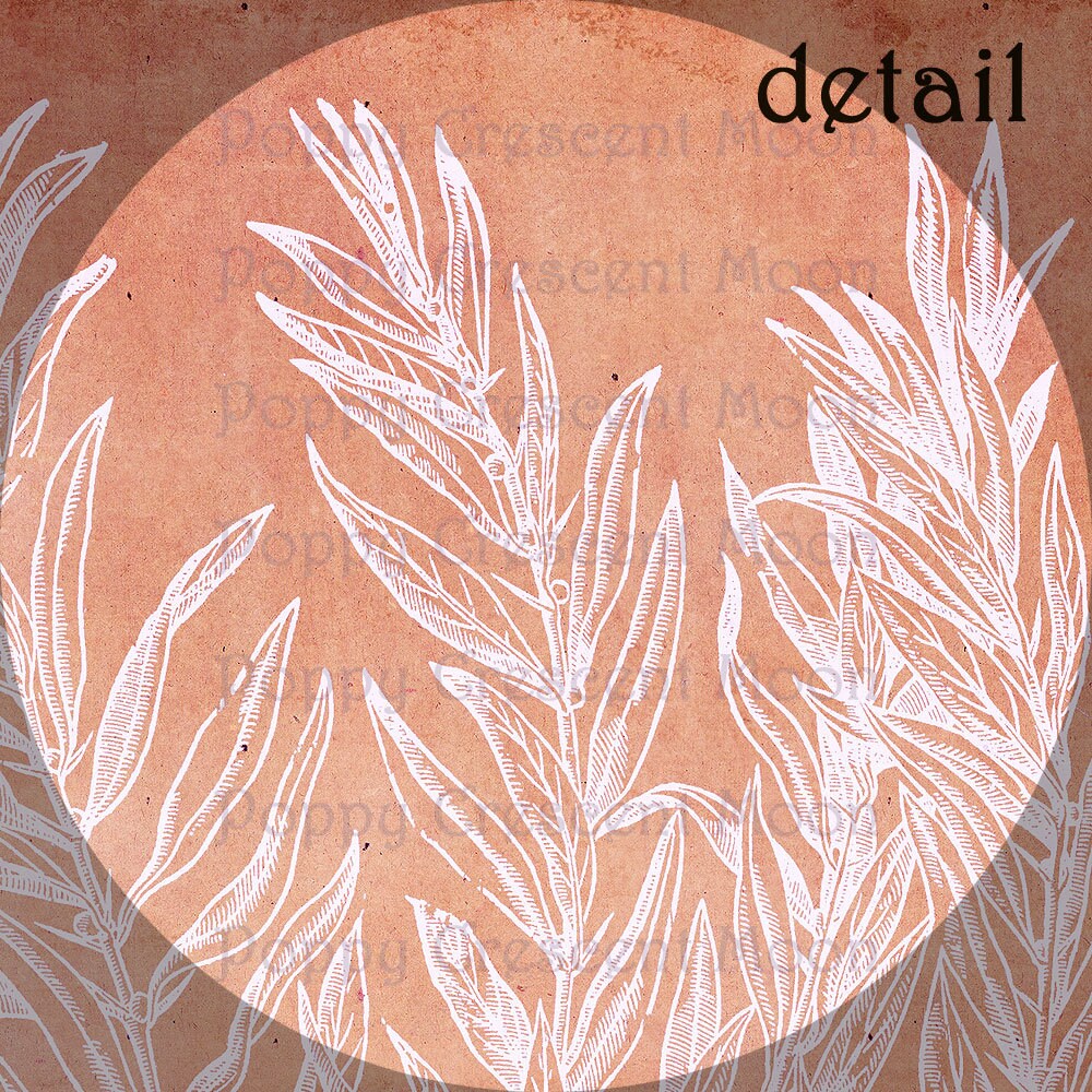 Planters in australia essay picture