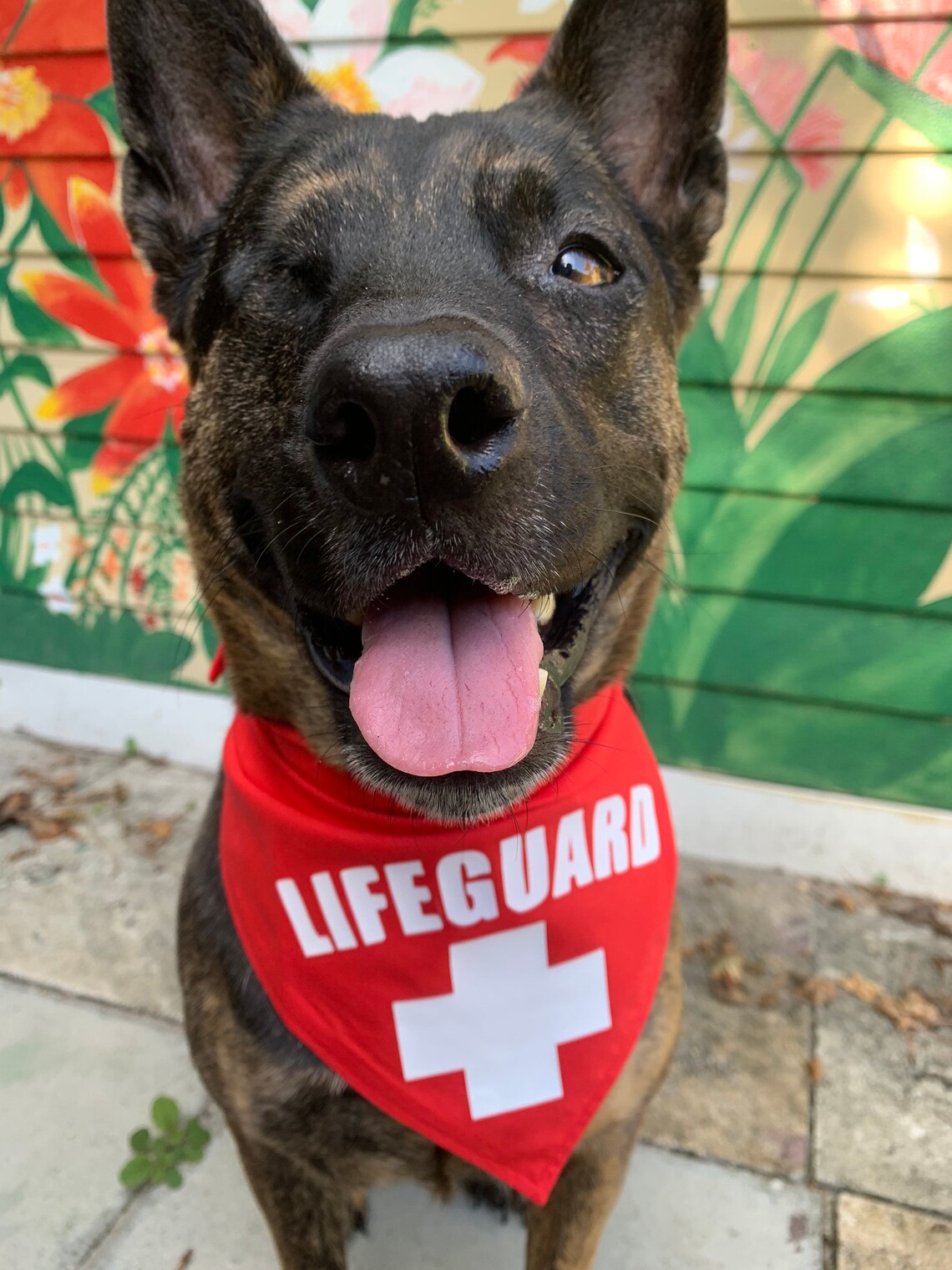 Lifeguard Dog Bandana / Lifeguard / Summer Dog Bandana / Pets Etsy