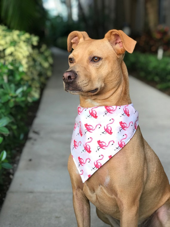 pink bandana for dogs