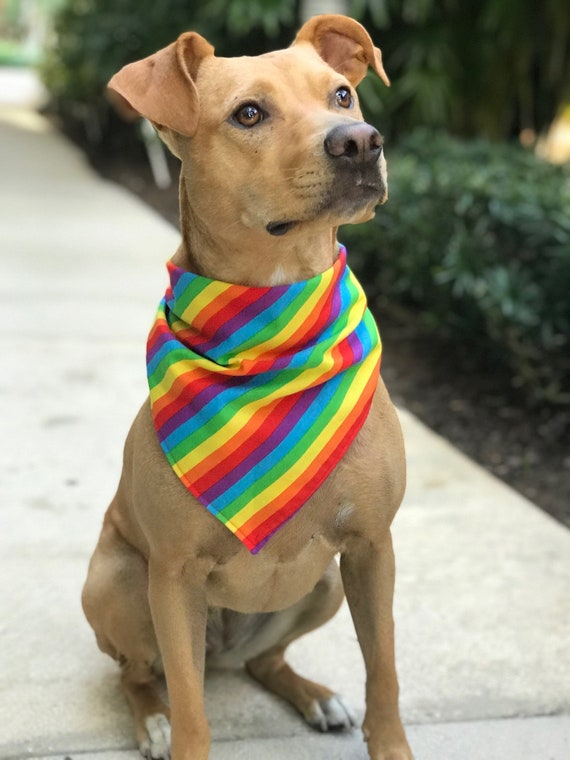 dog pride bandana