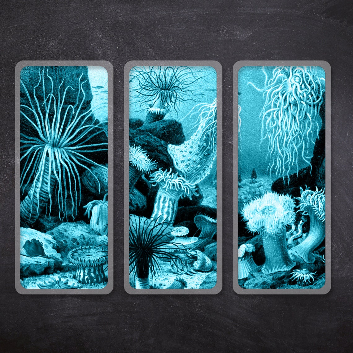 Marine Biology Gift Ocean Life Bookmarks Underwater Etsy