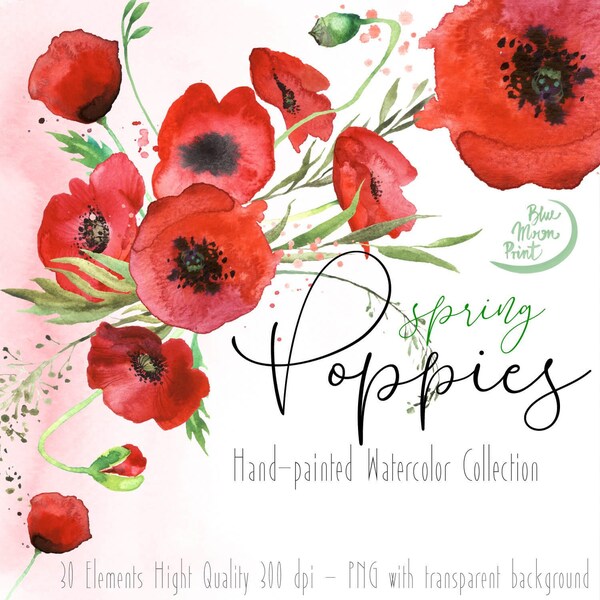 Clipart de fleur de pavot d’aquarelle, illustrations florales, coquelicots rouges de source. Ensemble de fichiers d’art clip PNG, téléchargement numérique