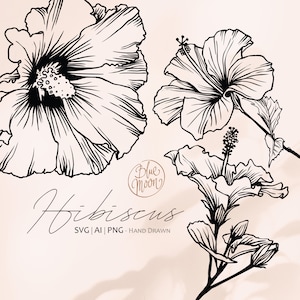 Hibiskus Blume, handgezeichnete florale Illustrationen. Set von svg-, ai- und png-Clipart-Dateien, digitaler Download