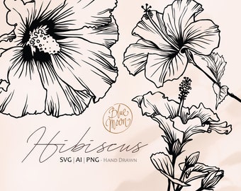 Hibiscus Flower, hand drawn floral illustrations. Set of svg, ai and png clipart files, digital download